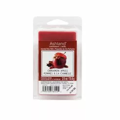 Top 10 👏 Cinnamon Apple Scented Wax Melts by Ashland® 🧨
