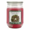 Brand new 💯 Mistletoe & Holly Scented Candle Jar by Ashland® ⭐ -Ashland Online Store 10699761 1