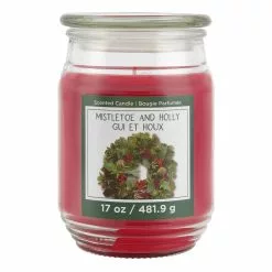 Brand new 💯 Mistletoe & Holly Scented Candle Jar by Ashland® ⭐