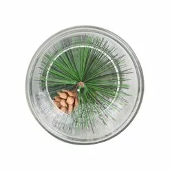 Best Pirce 🥰 6" Pine Leaf Glass Tealight Holder by Ashland® ✨ -Ashland Online Store 10699910 4