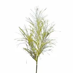 Flash Sale 🤩 Assorted Pampas Grass & Pip Pick by Ashland® ❄ Christmas 🔔 -Ashland Online Store 10700101 4