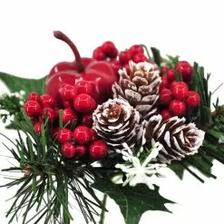 Top 10 👍 Apple & Berry Pick by Ashland® ✔️ -Ashland Online Store 10700123 4