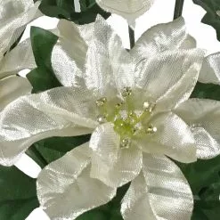 Cheap 🧨 Champagne Poinsettia Bush by Ashland® ✔️ -Ashland Online Store 10700132 2