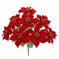 Cheap ✔️ Red Poinsettia Bush by Ashland® 🛒 -Ashland Online Store 10700135 2