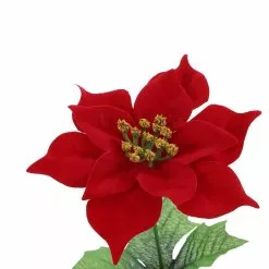 Cheap ✔️ Red Poinsettia Bush by Ashland® 🛒 -Ashland Online Store 10700135 3