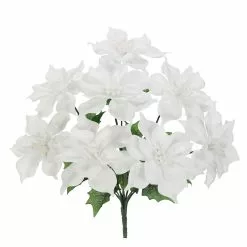 Flash Sale 🥰 White Poinsettia Bush by Ashland® 🔔 -Ashland Online Store 10700138 2