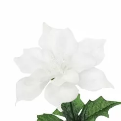Flash Sale 🥰 White Poinsettia Bush by Ashland® 🔔 -Ashland Online Store 10700138 3