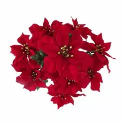 Cheap 😍 Crimson Poinsettia Bush by Ashland® 💯 -Ashland Online Store 10700141 2