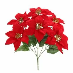 Best deal ⭐ Red Poinsettia Bush by Ashland® ✔️