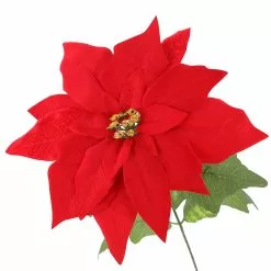 Cheapest 🎉 Red Poinsettia Bush by Ashland® ✨ -Ashland Online Store 10700151 3