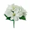 Budget โค๏ธ White Poinsettia Bush by Ashland® ๐ฏ 1 Budget โค๏ธ White Poinsettia Bush by Ashland® ๐ฏ -Ashland Online Store 10700154 1