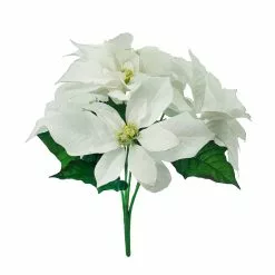 Budget ❤️ White Poinsettia Bush by Ashland® 💯