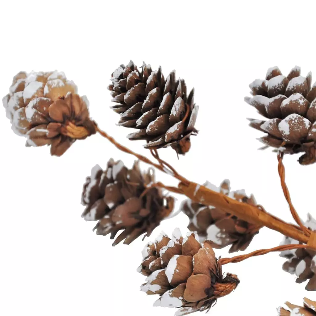 Brand new ๐ Snowy Pinecone Pick by Ashland® ๐งจ 6 Brand new ๐ Snowy Pinecone Pick by Ashland® ๐งจ - Image 4