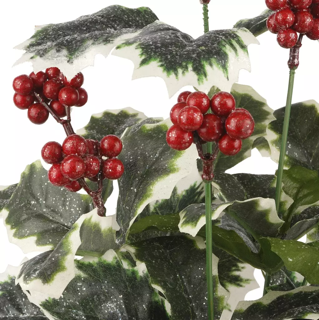 Deals โค๏ธ Holly Leaf & Berry Bush by Ashland® ๐ 4 Deals โค๏ธ Holly Leaf & Berry Bush by Ashland® ๐ - Image 2