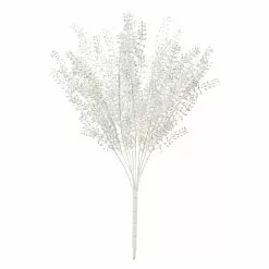 Budget 🔔 White Berry Bush by Ashland® ⌛