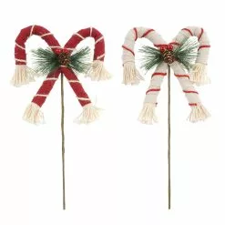 Buy ๐คฉ Assorted Candy Cane Pick by Ashland® ๐คฉ Christmas โค๏ธ
