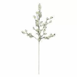 Top 10 🥰 White Berry Twig Stem by Ashland® 👏