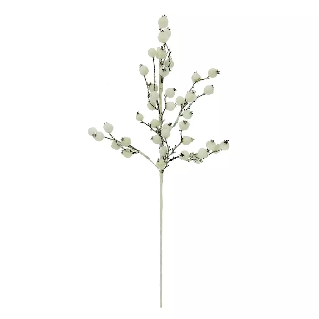 Top 10 ๐ฅฐ White Berry Twig Stem by Ashland® ๐ 3 Top 10 ๐ฅฐ White Berry Twig Stem by Ashland® ๐