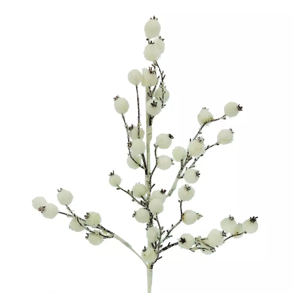 Top 10 ๐ฅฐ White Berry Twig Stem by Ashland® ๐ 4 Top 10 ๐ฅฐ White Berry Twig Stem by Ashland® ๐ - Image 2