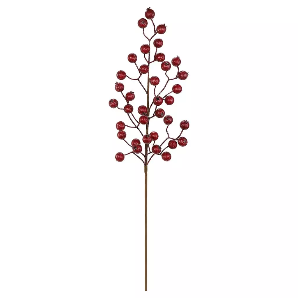 Budget ❤️ Iced Red Rose Berry Stem by Ashland® 🤩 3 Budget ❤️ Iced Red Rose Berry Stem by Ashland® 🤩