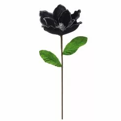 Best reviews of 🧨 Black Velvet Magnolia Stem by Ashland® ⌛