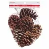 Discount โค๏ธ Cinnamon Scented Pinecones by Ashland® ๐งจ 1 Discount โค๏ธ Cinnamon Scented Pinecones by Ashland® ๐งจ -Ashland Online Store 10701018 1