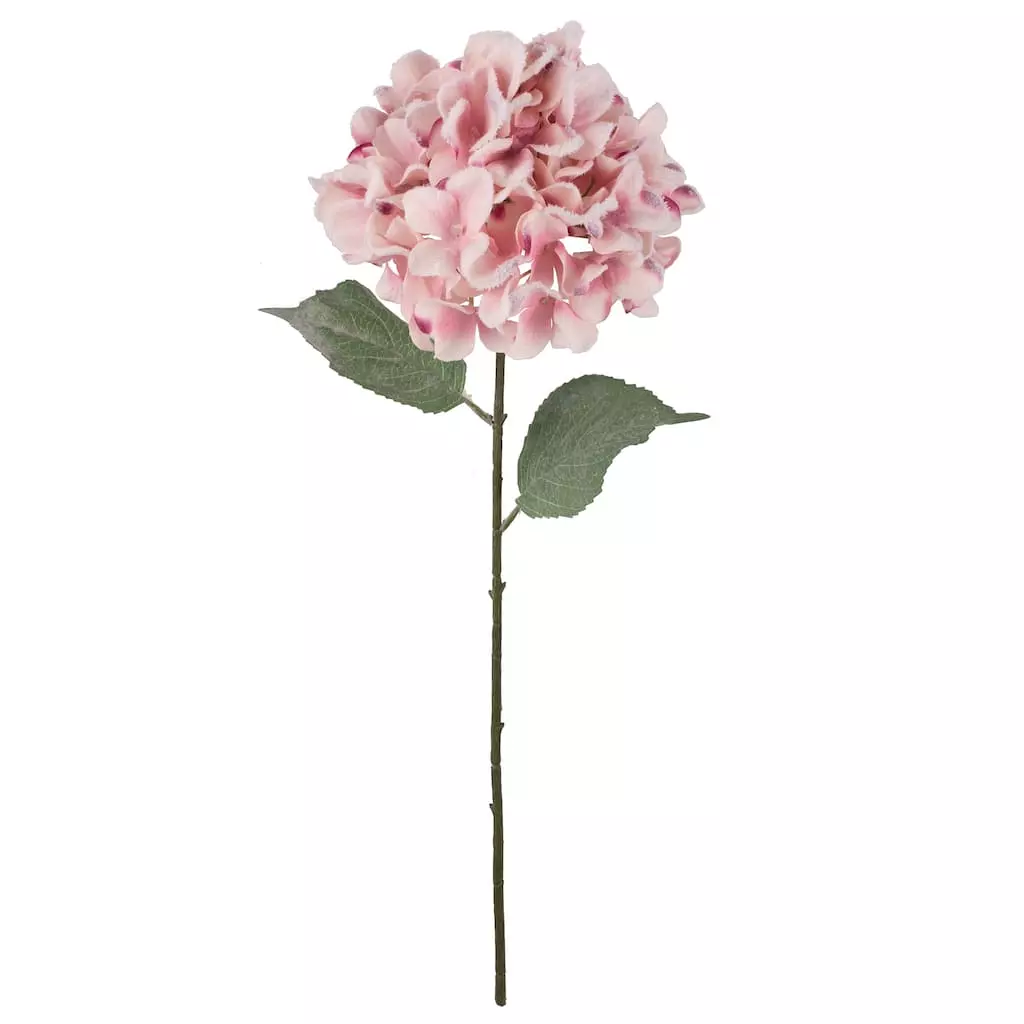 Cheap 🧨 Pink Snowy Hydrangea Stem by Ashland® ✨ 3 Cheap 🧨 Pink Snowy Hydrangea Stem by Ashland® ✨