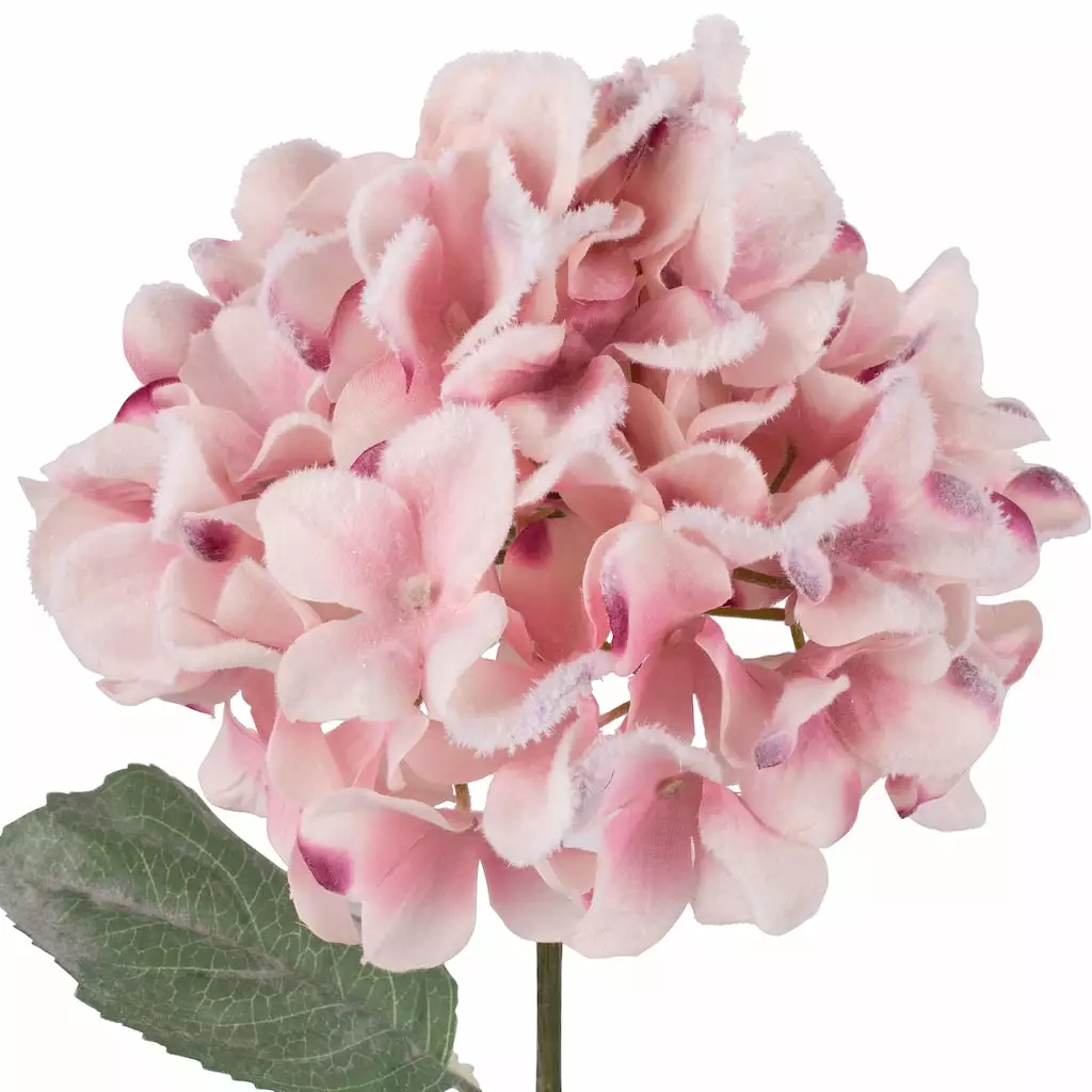 Cheap 🧨 Pink Snowy Hydrangea Stem by Ashland® ✨ 4 Cheap 🧨 Pink Snowy Hydrangea Stem by Ashland® ✨ - Image 2