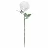 Cheap ✨ Snow Covered White Rose Stem by Ashland® 🔔 -Ashland Online Store 10701034 1