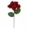 Best Sale 🔥 Iced Red Wild Hydrangea Stem by Ashland® ⭐ -Ashland Online Store 10701046 1