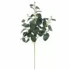 Cheap ✨ Dark Green Eucalyptus Stem by Ashland® 😀 1 Cheap ✨ Dark Green Eucalyptus Stem by Ashland® 😀 -Ashland Online Store 10701058 1