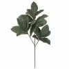 Best Pirce ✔️ Dark Green Magnolia Leaf Stem by Ashland® 💯 -Ashland Online Store 10701060 1
