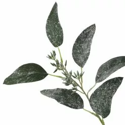Best reviews of ๐ Dark Green Iced Eucalyptus Leaf Stem by Ashland® โญ 7 Best reviews of ๐ Dark Green Iced Eucalyptus Leaf Stem by Ashland® โญ -Ashland Online Store 10701061 3