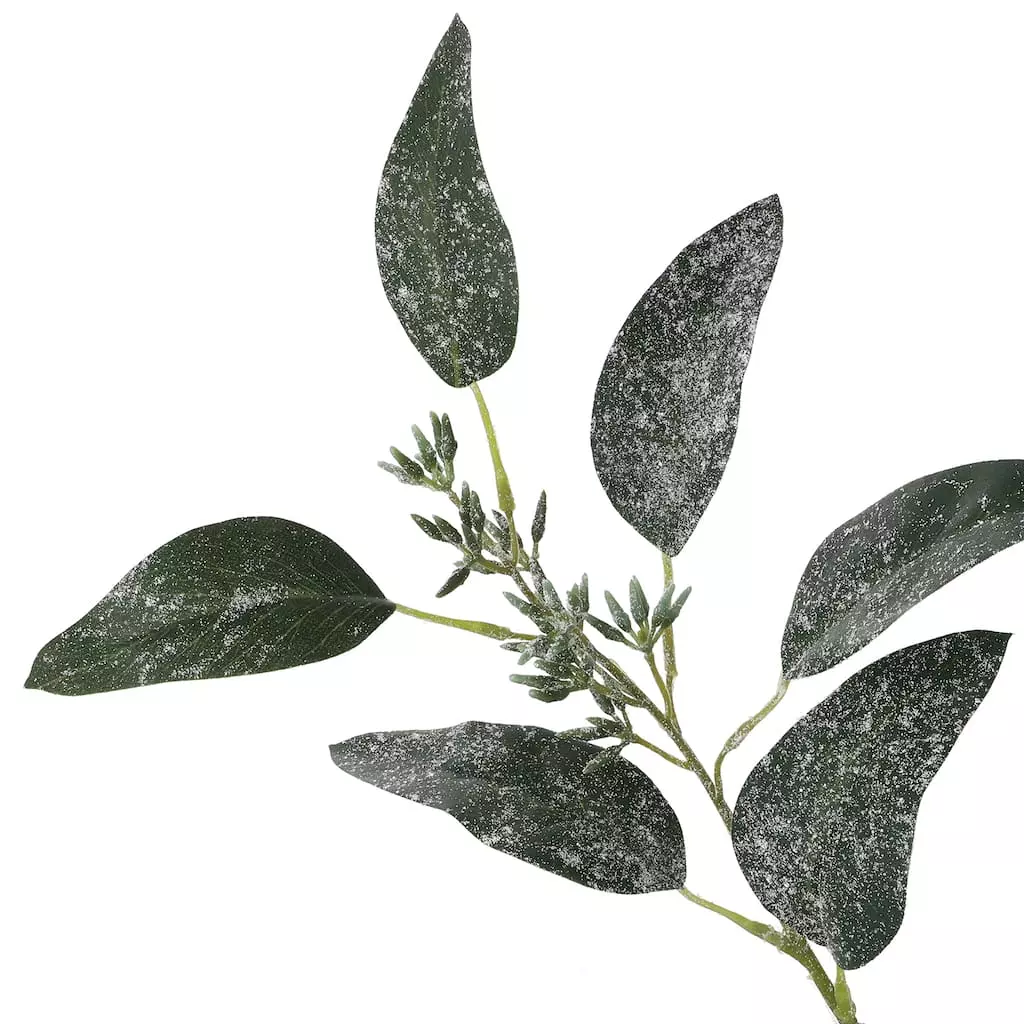 Best reviews of ๐ Dark Green Iced Eucalyptus Leaf Stem by Ashland® โญ 5 Best reviews of ๐ Dark Green Iced Eucalyptus Leaf Stem by Ashland® โญ - Image 3