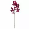 Best reviews of 😉 Purple Eucalyptus Foliage Stem by Ashland® ❤️ -Ashland Online Store 10701067 1