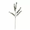 Buy ⭐ Snowy Eucalyptus Stem by Ashland® 🎉 -Ashland Online Store 10701309 1