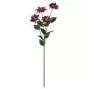 Brand new ✔️ Plum Poinsettia Stem by Ashland® ✨ -Ashland Online Store 10701315 1