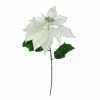 Coupon ⭐ Silver Poinsettia Stem by Ashland® 🛒 -Ashland Online Store 10701317 1