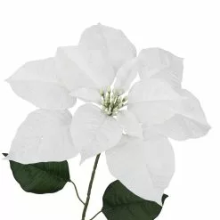 Hot Sale 🎁 Glittery White Poinsettia Stem by Ashland® ⌛ -Ashland Online Store 10701333 3