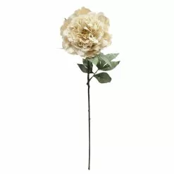 Flash Sale ❤️ Cream Peony Stem by Ashland® 🎁