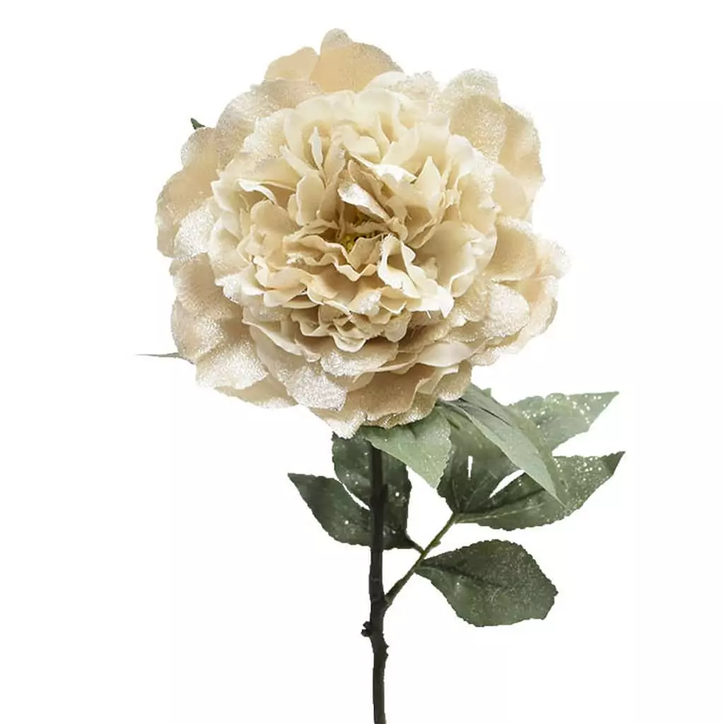 Flash Sale โค๏ธ Cream Peony Stem by Ashland® ๐ 4 Flash Sale โค๏ธ Cream Peony Stem by Ashland® ๐ - Image 2