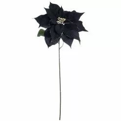 Budget ✨ Black Poinsettia Stem by Ashland® 🧨