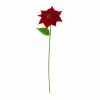 Brand new ๐ Red Poinsettia Stem by Ashland® โ 2 Brand new ๐ Red Poinsettia Stem by Ashland® โ -Ashland Online Store 10701337 1