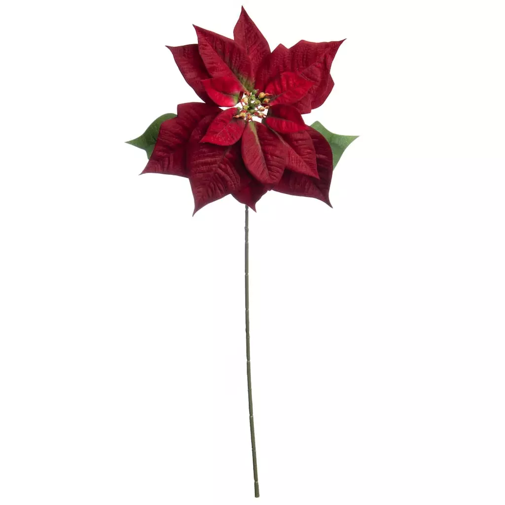 Cheap ⭐ Dark Red Poinsettia Stem by Ashland® 🥰 3 Cheap ⭐ Dark Red Poinsettia Stem by Ashland® 🥰