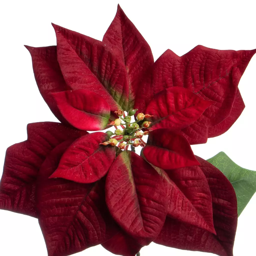 Cheap ⭐ Dark Red Poinsettia Stem by Ashland® 🥰 4 Cheap ⭐ Dark Red Poinsettia Stem by Ashland® 🥰 - Image 2