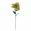 Best Pirce 🧨 Champagne Glitter Poinsettia Stem by Ashland® ✔️ 2 Best Pirce 🧨 Champagne Glitter Poinsettia Stem by Ashland® ✔️ -Ashland Online Store 10701343 1
