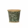 Cheap 🔔 6" Green Bamboo Print Pot by Ashland® 😀 -Ashland Online Store 10701750 1