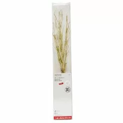 Flash Sale 🔔 30" Gold Pre-Lit Branch by Ashland® 🔔 -Ashland Online Store 10702489 1