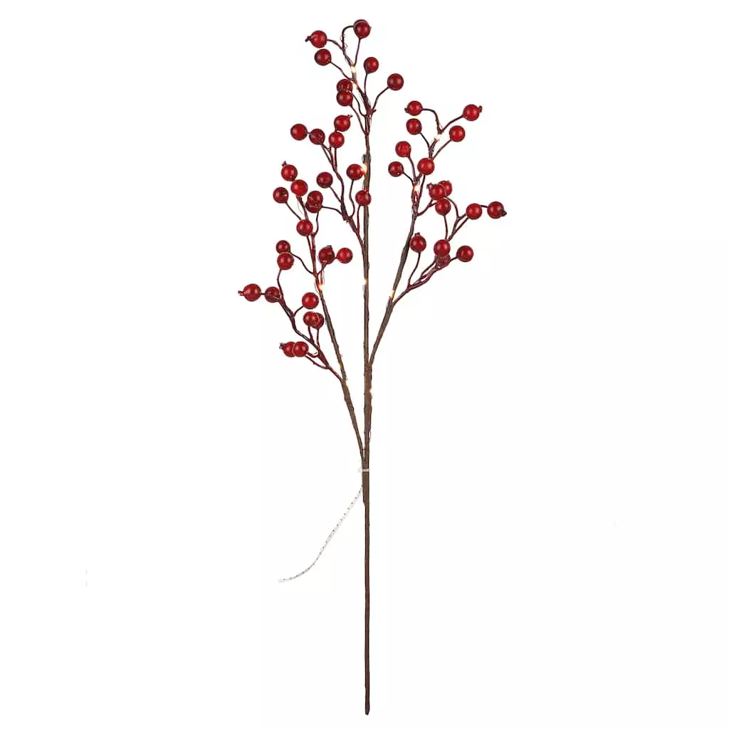 Best reviews of ๐ Red Berries Twig With 16 Lights by Ashland® ๐งจ 4 Best reviews of ๐ Red Berries Twig With 16 Lights by Ashland® ๐งจ - Image 2