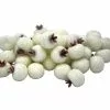 Wholesale 🥰 White Sugared Berries by Ashland® ✔️ -Ashland Online Store 10702541 1